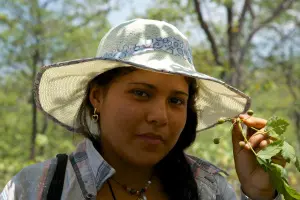 Palo Santo » Nature and Culture International