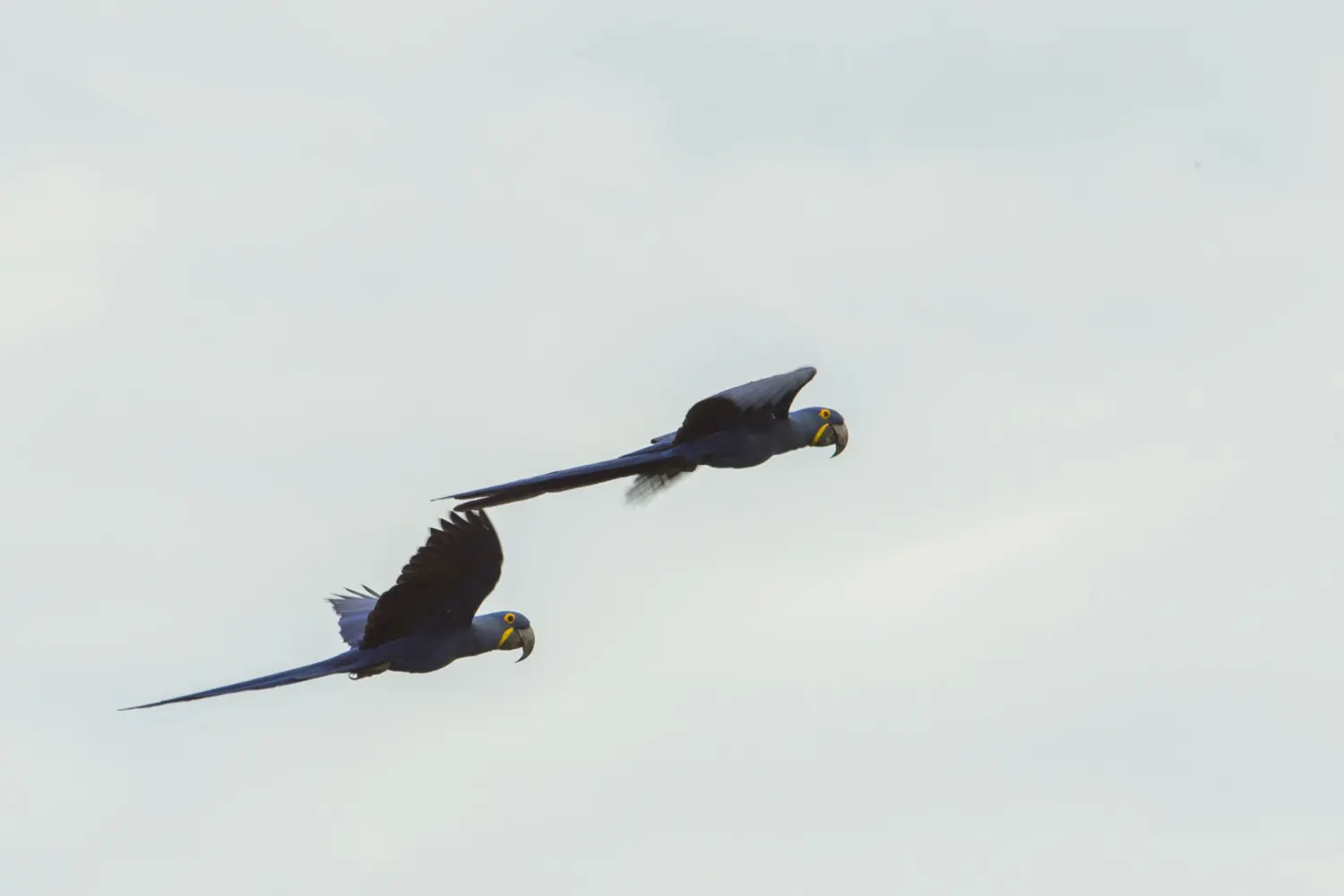 _FRL0567_v2 » Nature and Culture International