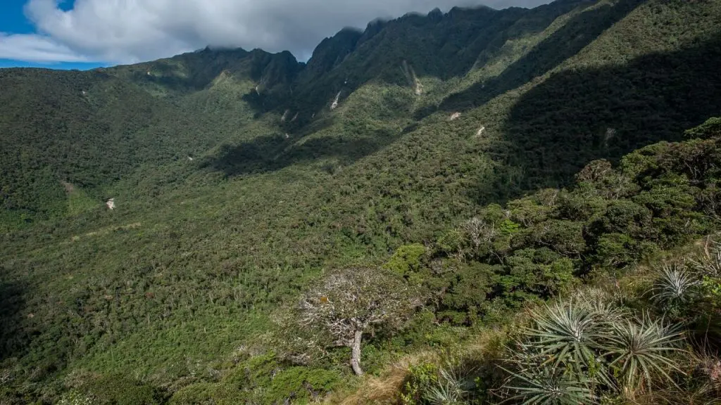 Huaricancha Private Conservation Area » Nature and Culture International