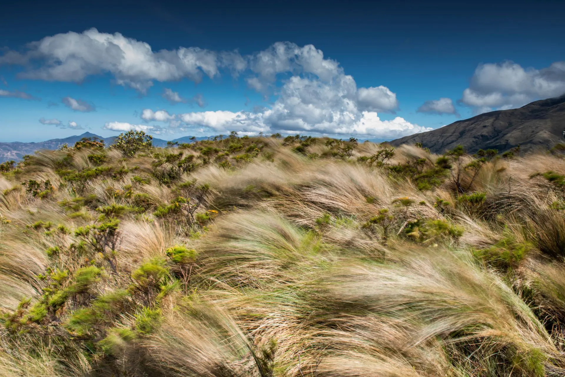 Peruvian Andes