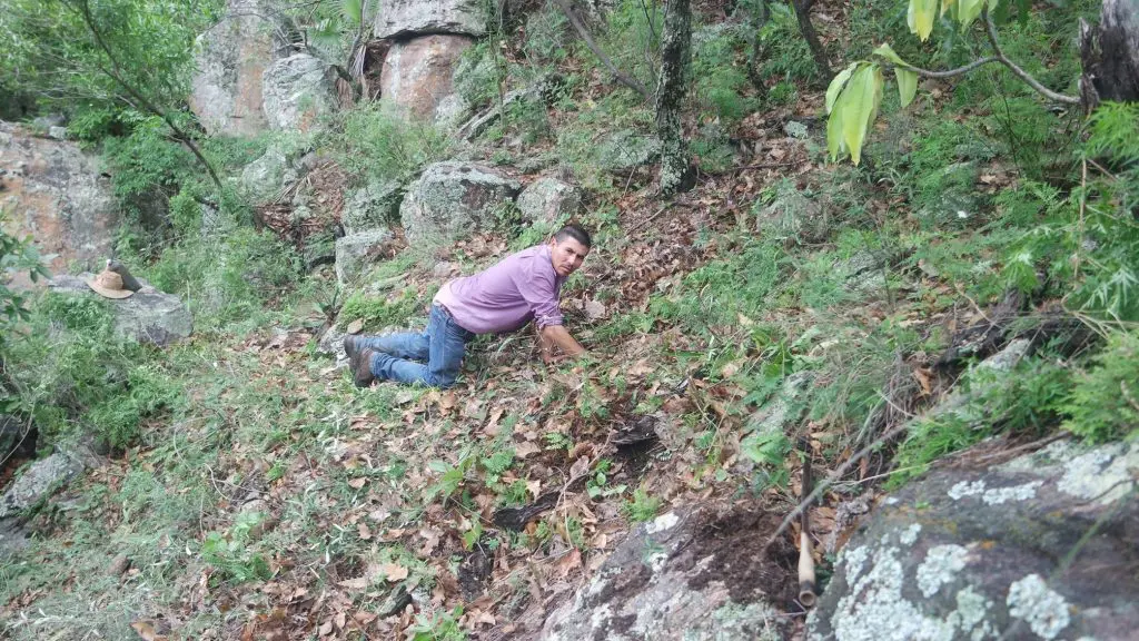 instalacion-de-camaras-3-1 » Naturaleza y Cultura Internacional