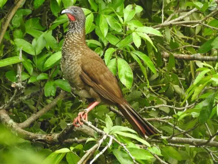 008 » Naturaleza y Cultura Internacional