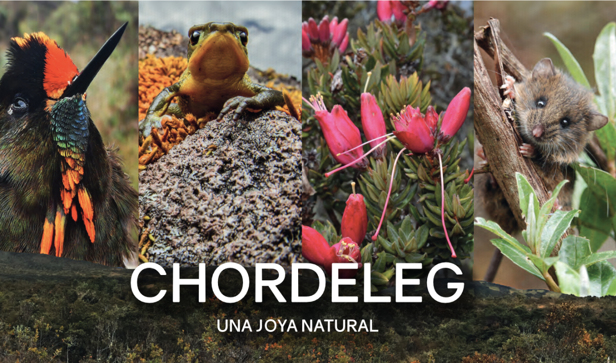 Chordeleg, una joya natural