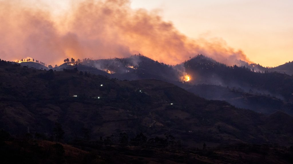 Quilanga Fires » Nature and Culture International