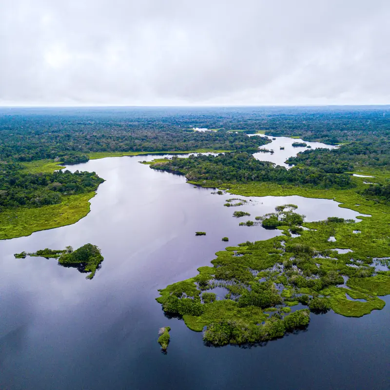 Forest River Amazon Fund
