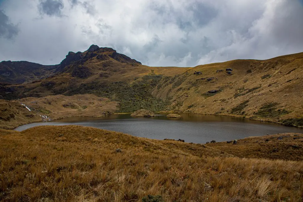 Foto 02 » Naturaleza y Cultura Internacional Paisaje de Andes del Norte
