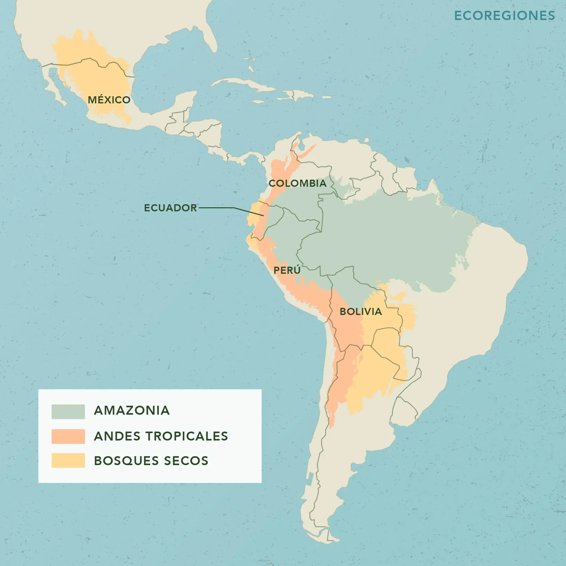 Mapa de ecoregiones a donde trabaja Naturaleza y Cultura  en America Latina