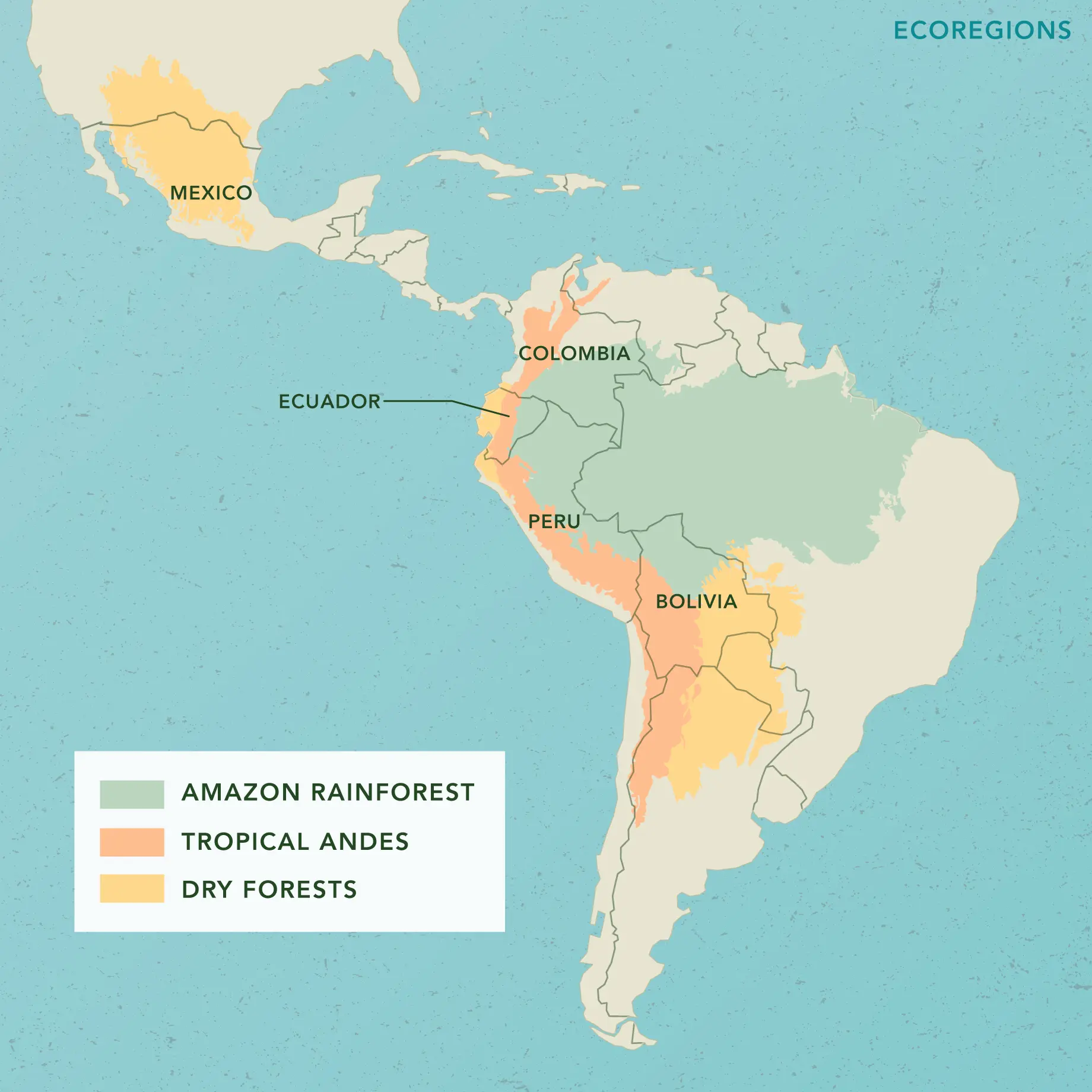 Map of ecoregions where Nature and Culture works in Latin America