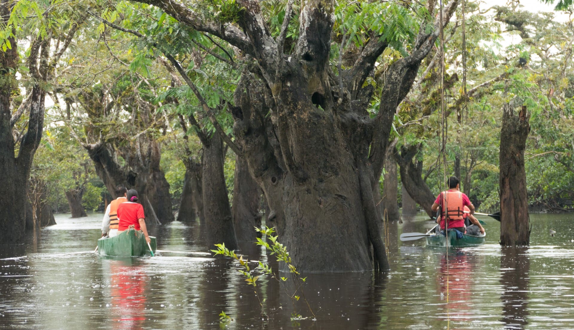 Canoeing down the Cuyabeno.