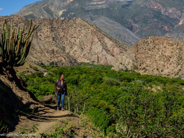 ABOVE: The Marañon dry forest is the perfect place for birdwatchers to find rare species, for explorers to walk among unique plants and for adventurers to trek down the river.