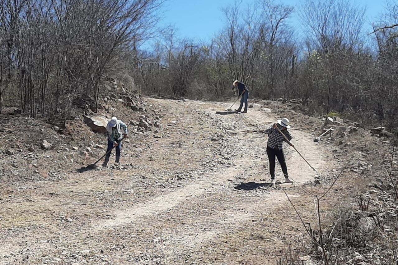 Miembros de la comunidad contratados para reparar caminos y cercas dentro de la Reserva Monte Mojino.