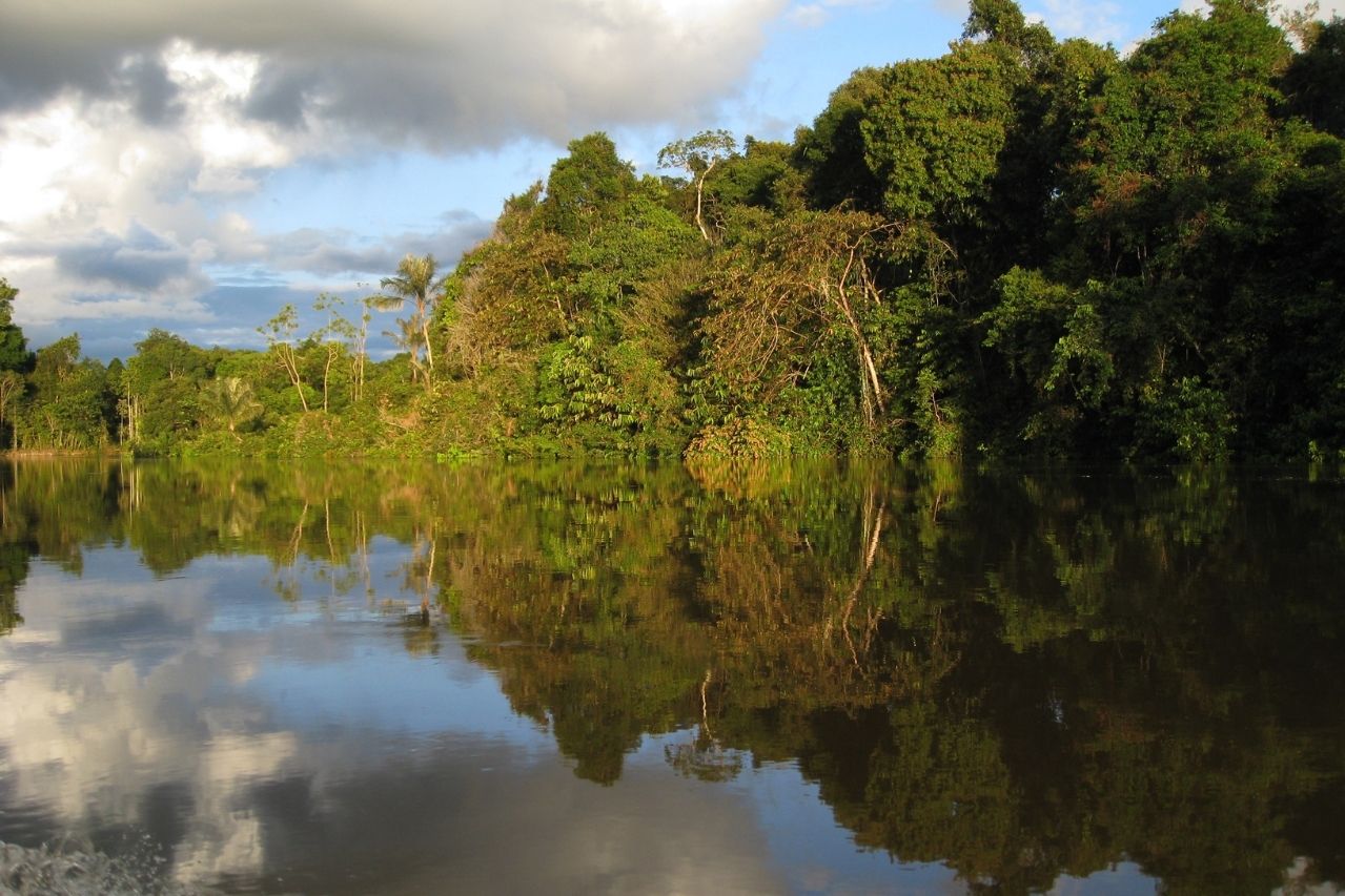 Amazon peruano