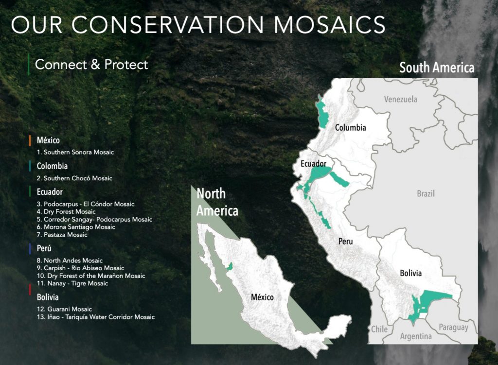 Our Conservation Mosaics