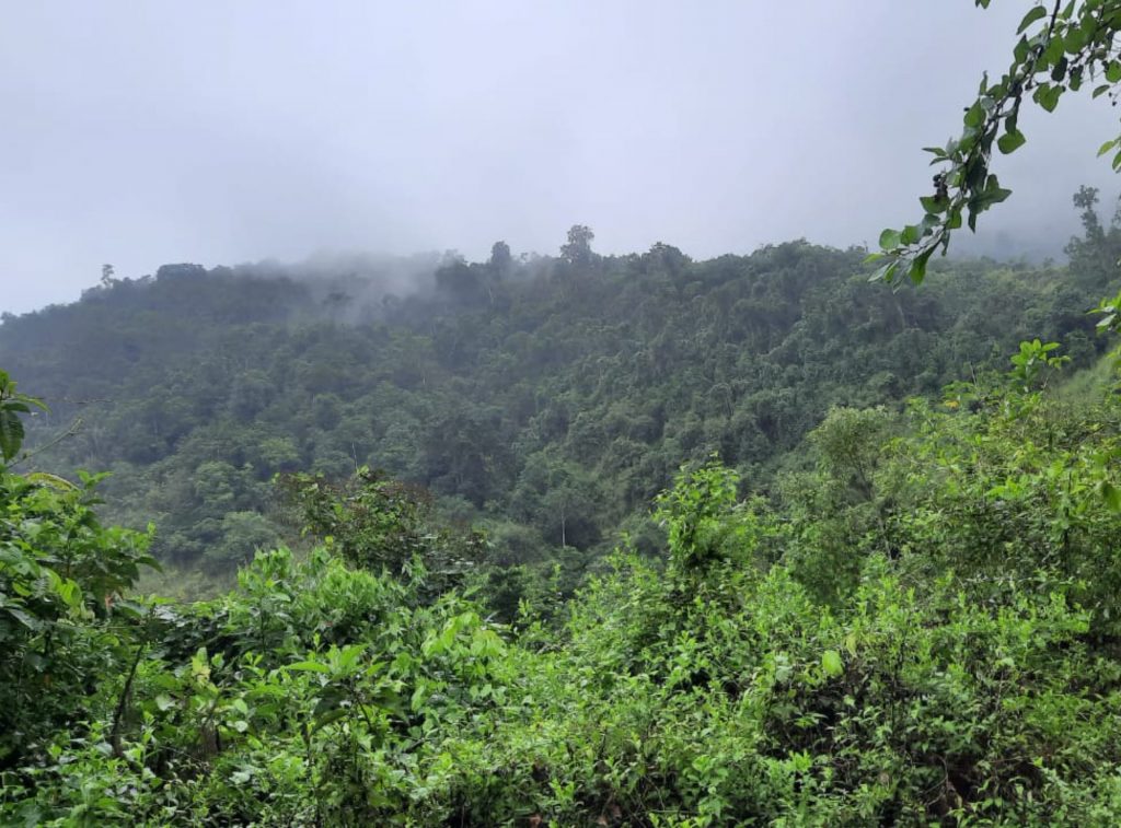 Nuevas Áreas Provinciales De Conservación En Santa Elena
