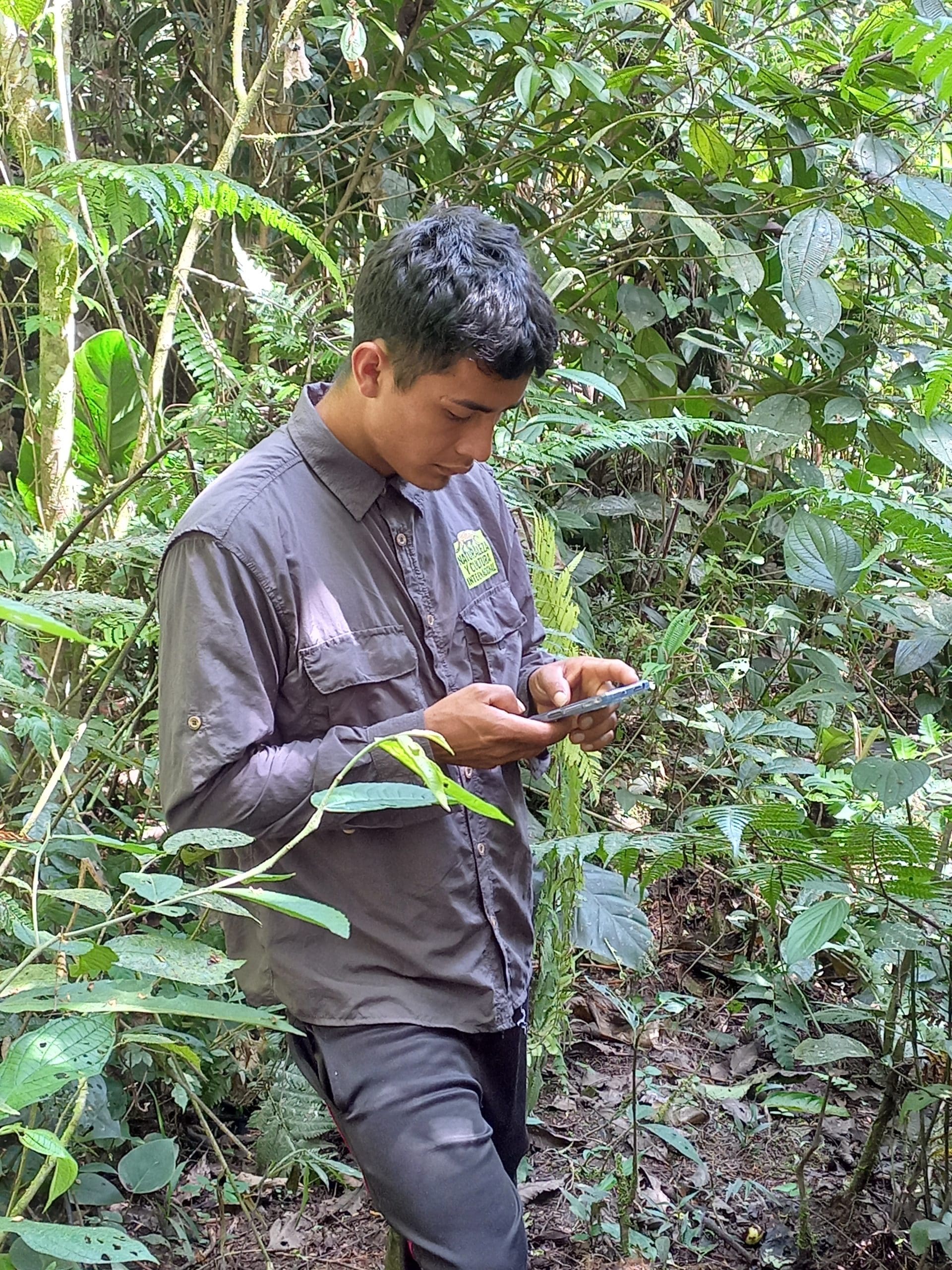 Forest Ranging A Day in the Life of A Forest Ranger » Nature and Culture International