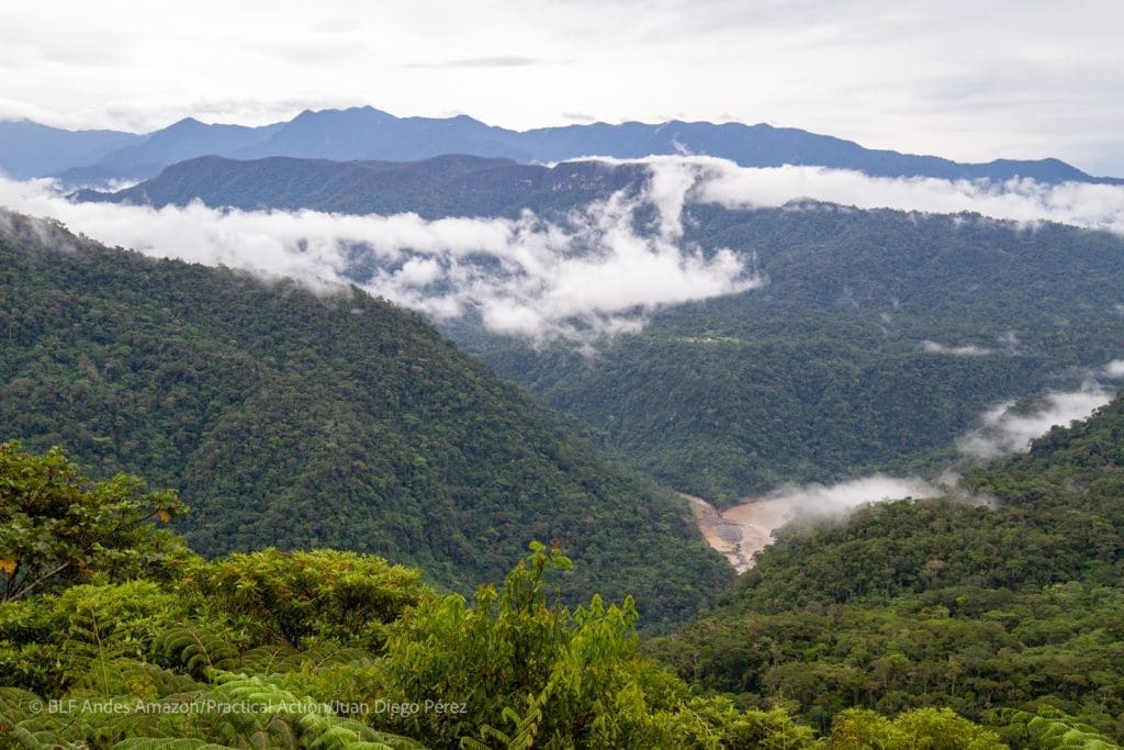 Conservation Corridor Podocarpus Yacuri Refuge Biodiversity Ecuador Peru
