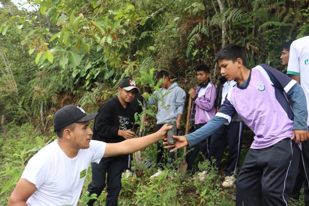 Alumnos se convirtieron en los protagonistas durante una jornada de reforestación del Área de Conservación Regional Bosques El Chaupe, Cunía y Chinchiquilla. 