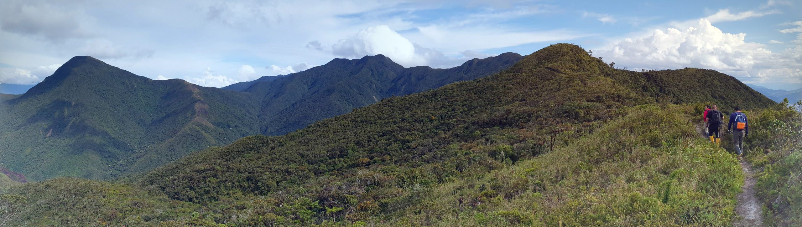 Abra de Zamora - MUTPL