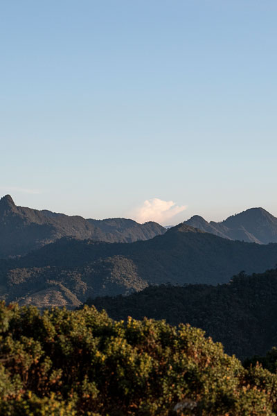 Colombia Species Biodiverse Andes
