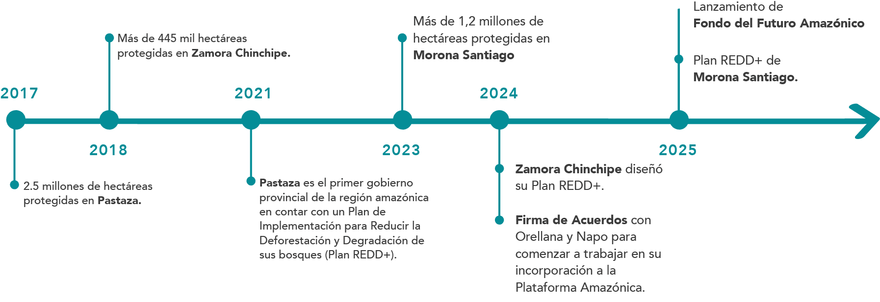 Plataforma Amazonica Linea Tiempo Fondo Futuro Amazonico Ecuador