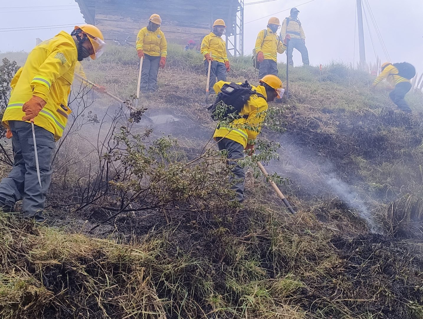 Firefighters in yellow protective gear fighting a brush fire on a smoky hillside, usingTools and hoses nearby