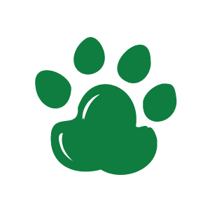 Especies Endémicas