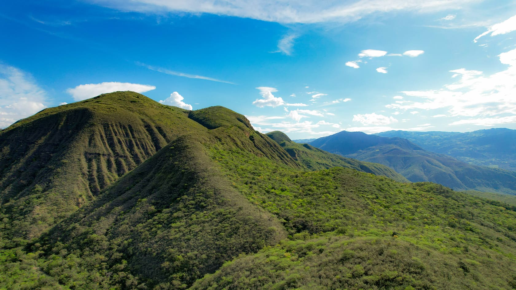 Bosques Secos Maranon Marañón Naturaleza Cultura Internacional Endemismo Especies
