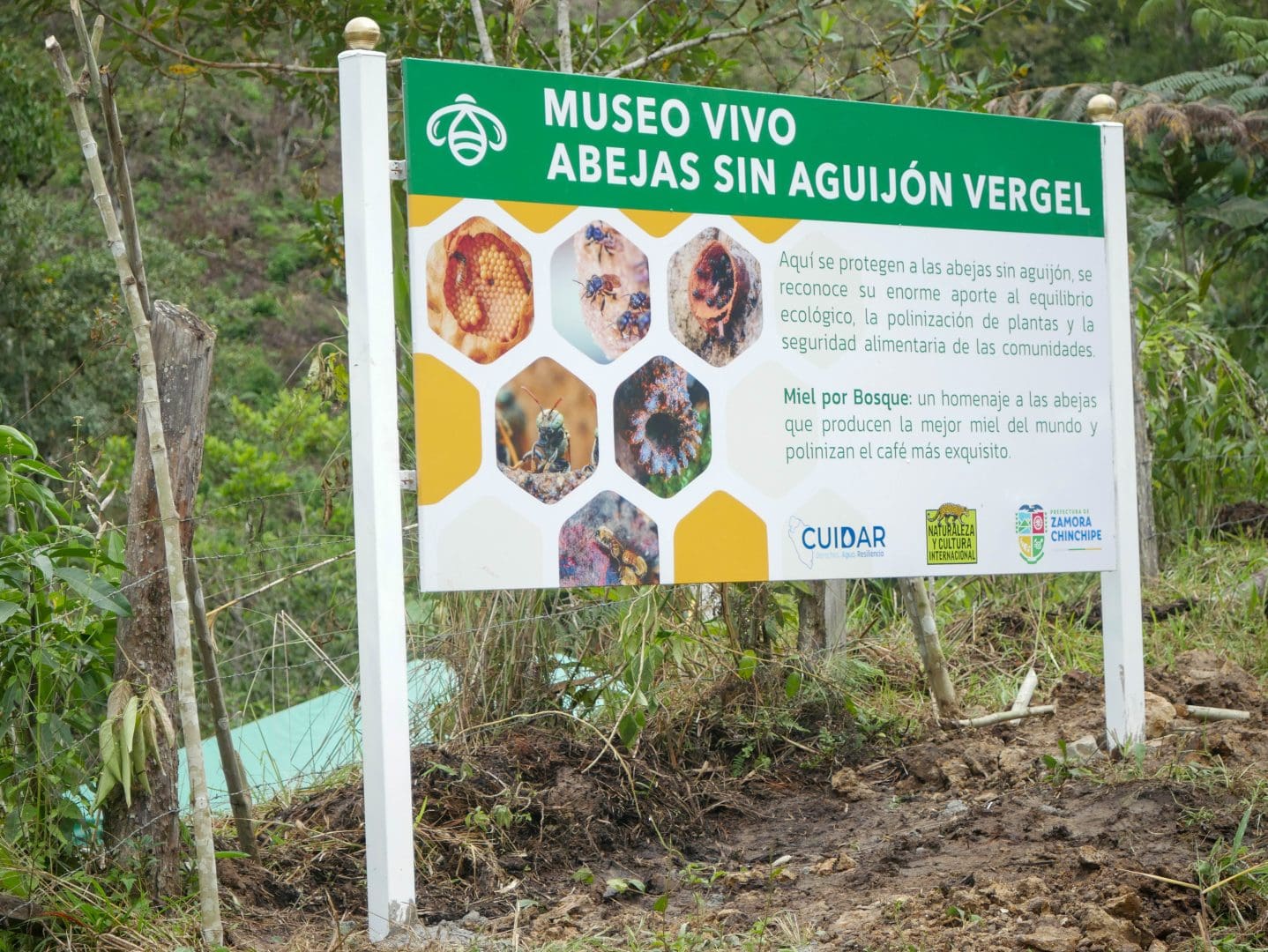 Letrero de museo vivo abejas sin aguijón
