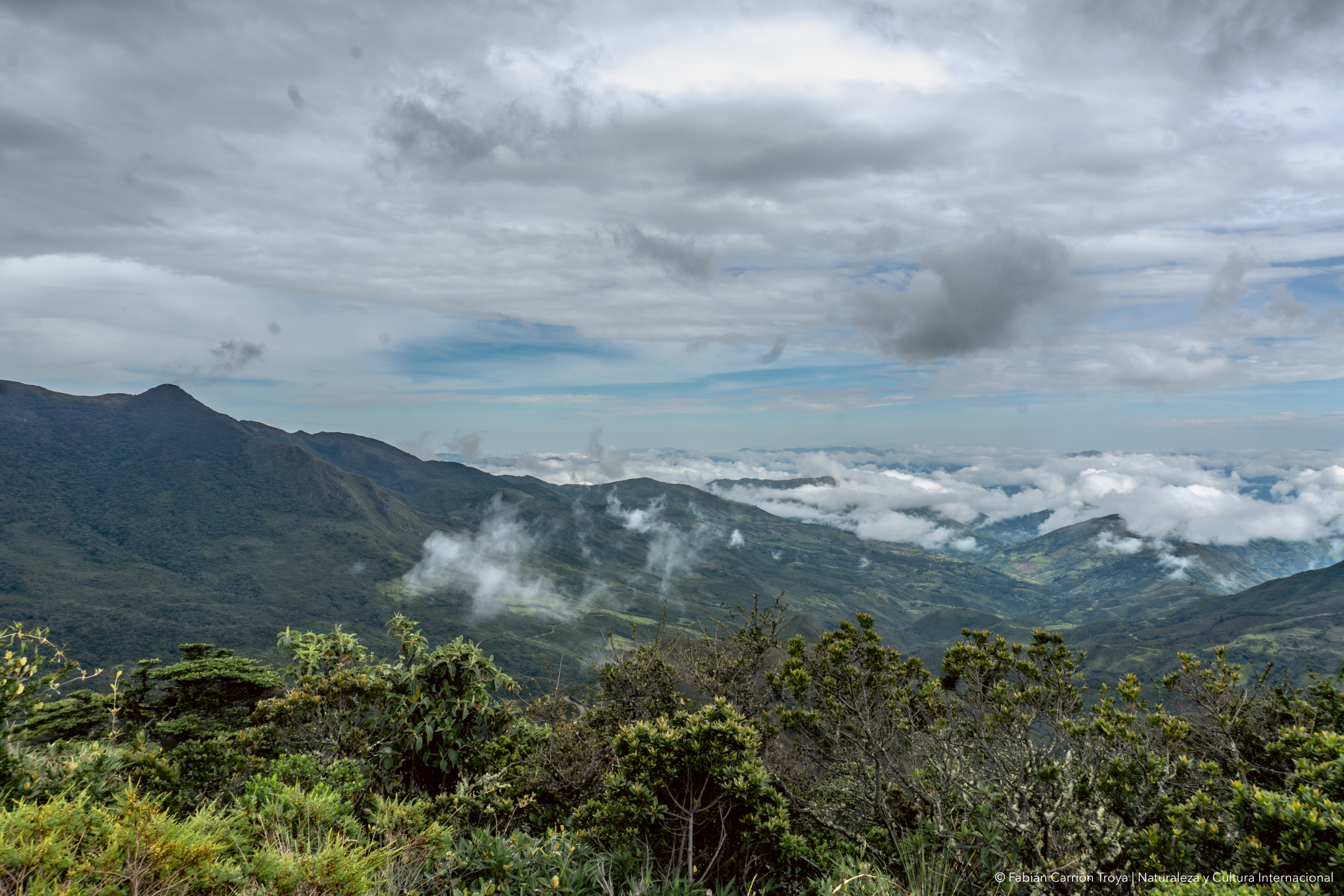 Paisaje del Paruqe Nacional Yacuri