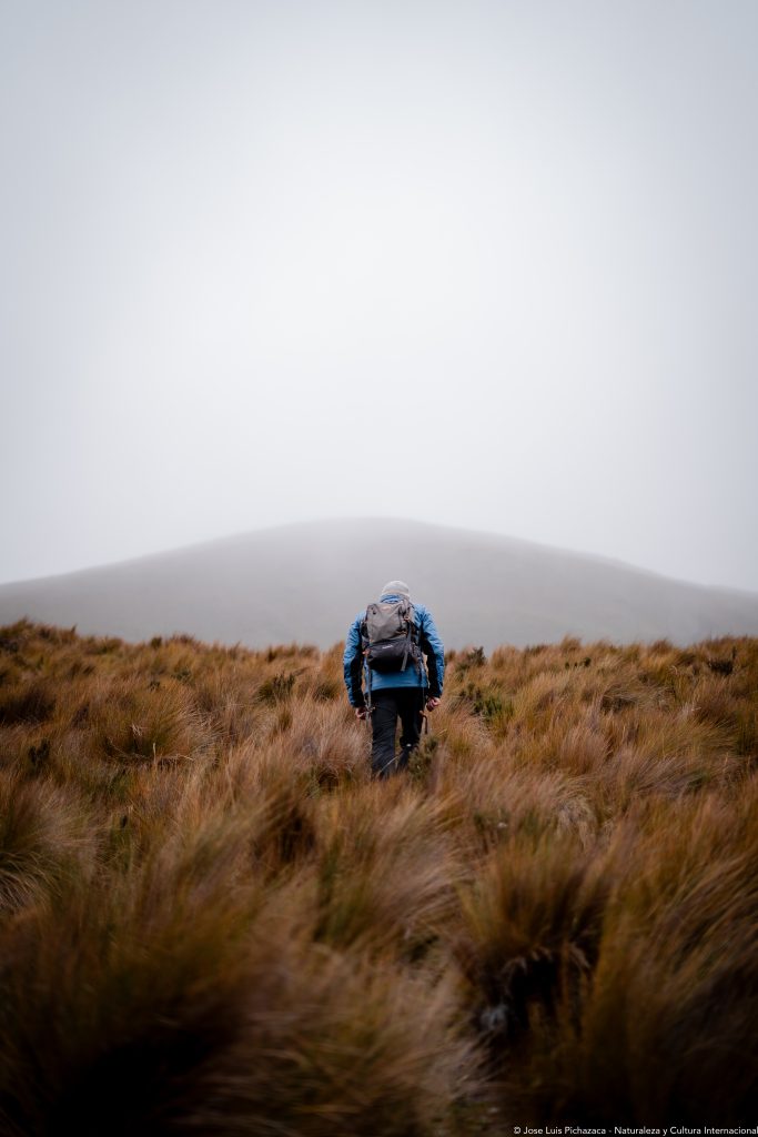Bosques de Cañar