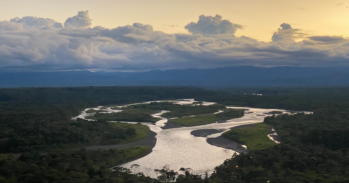 Amazon Lanscape